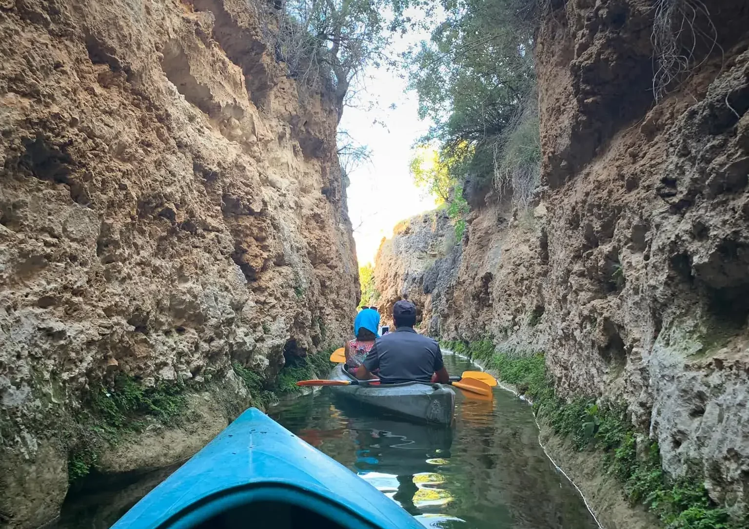 71511422_1922377891132004_5874421341347643392_n