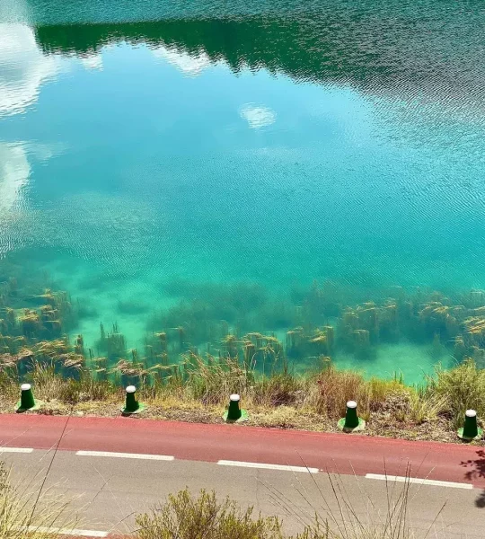 240752925_532023114754039_1362063027176064159_n