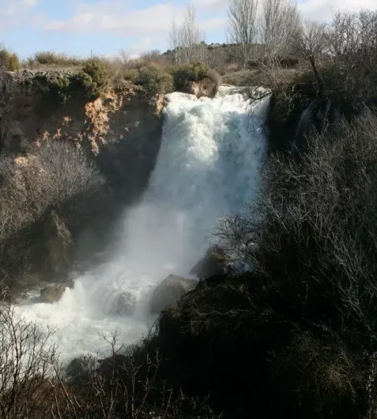 417806_171248346369789_327690481_n