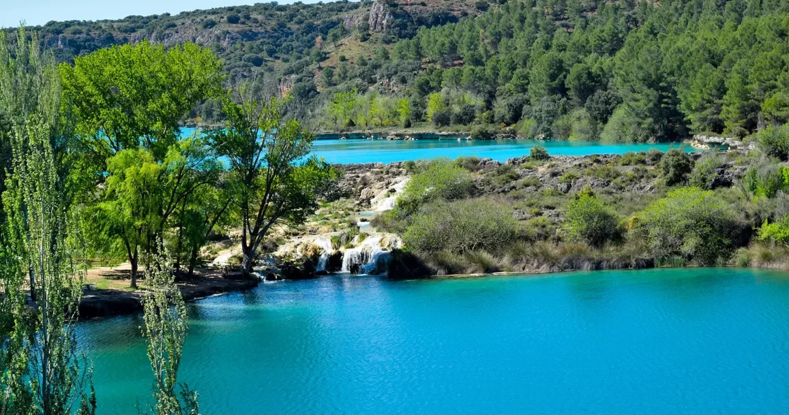 59835417_754355421624885_8404629164316950528_n