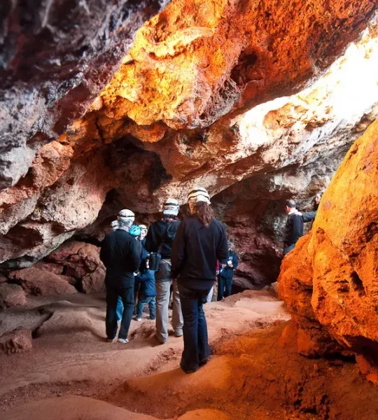 6997701419_49e1aa0cac_o