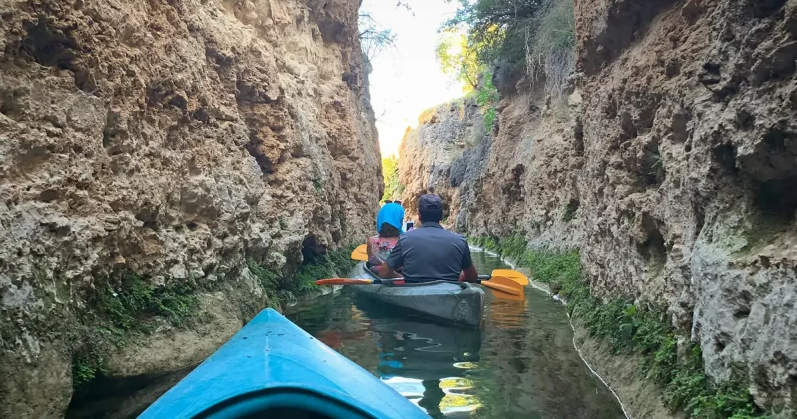 71511422_1922377891132004_5874421341347643392_n