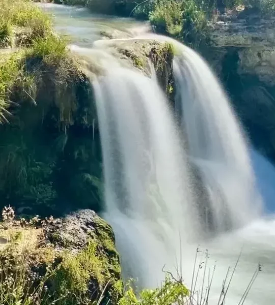 Copia de 242061532_287001736206149_321736220602739784_n