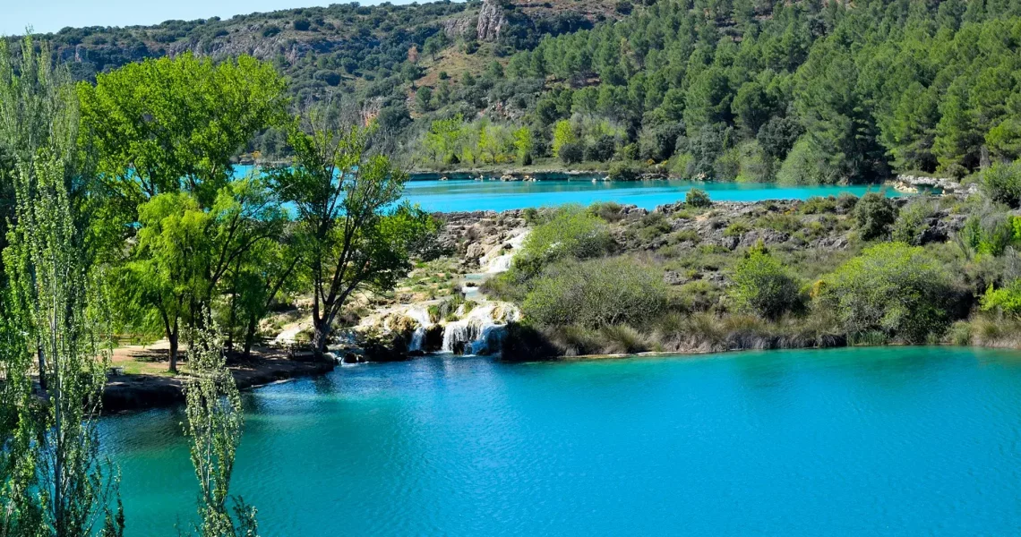 Copia de 59835417_754355421624885_8404629164316950528_n